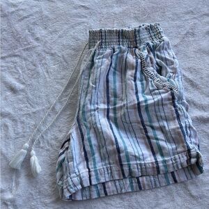 Briggs New York Multicolor Striped Shorts